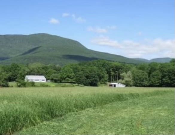 4986 Route 32, Catskill, NY for Sale