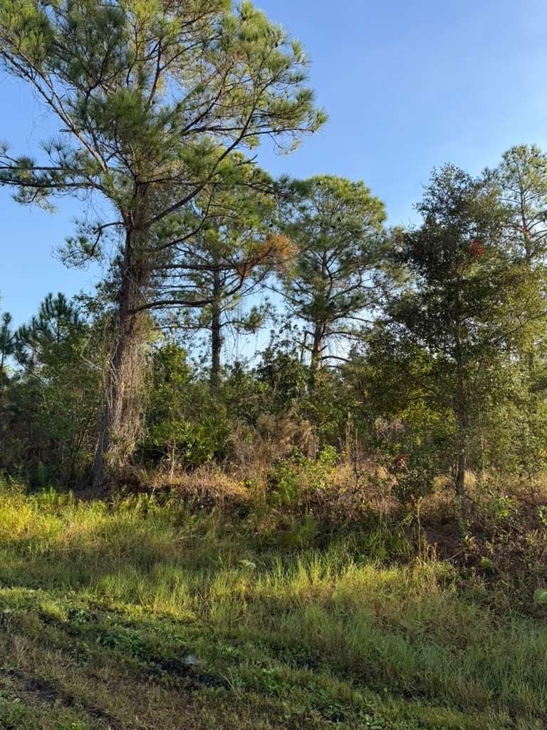 8024 Cabo dr, Sebring, FL for Sale