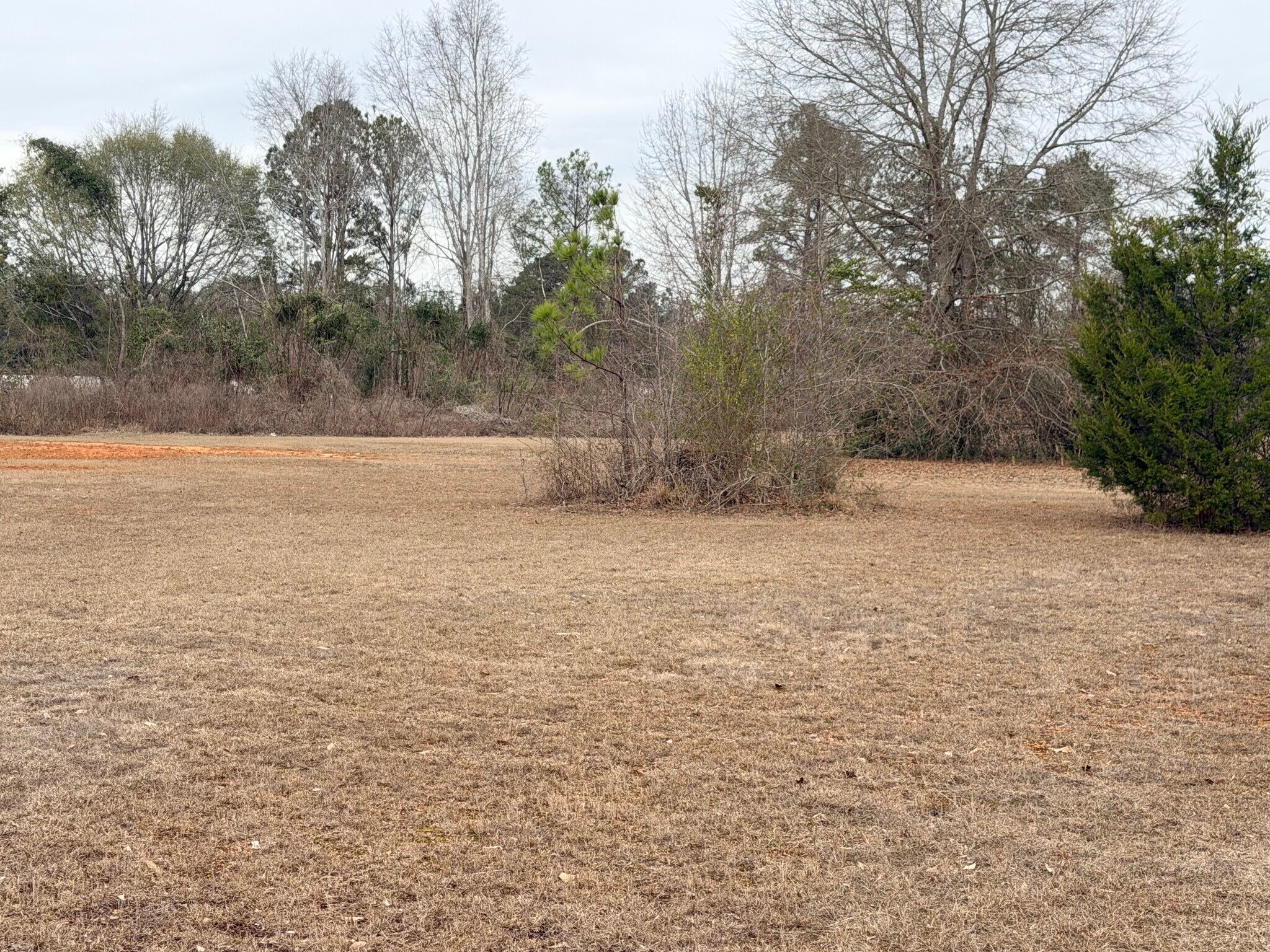 1610 E Commerce St, Greenville, AL for Sale