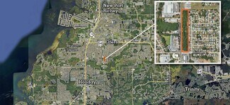 Holiday, FL Commercial - 00 Grand Boulevard & Auld Lane