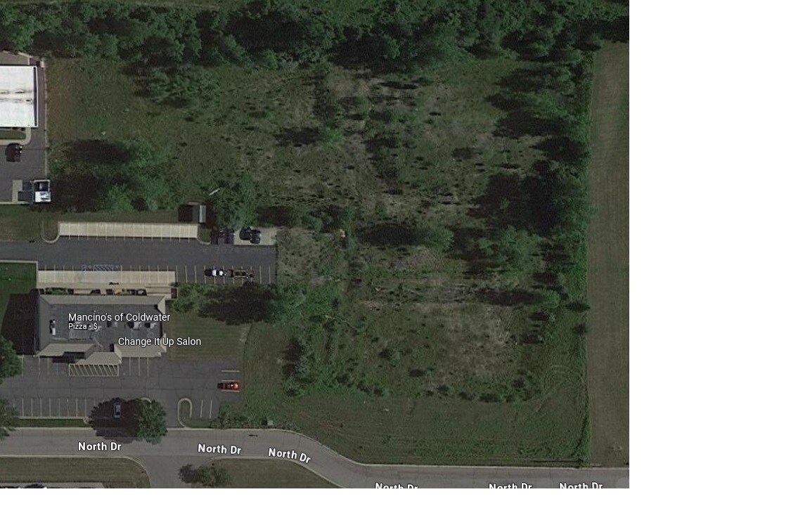 387 N Willowbrook Rd, Coldwater, MI for Sale