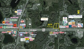 Land O Lakes, FL Commercial Land - 54 Sr