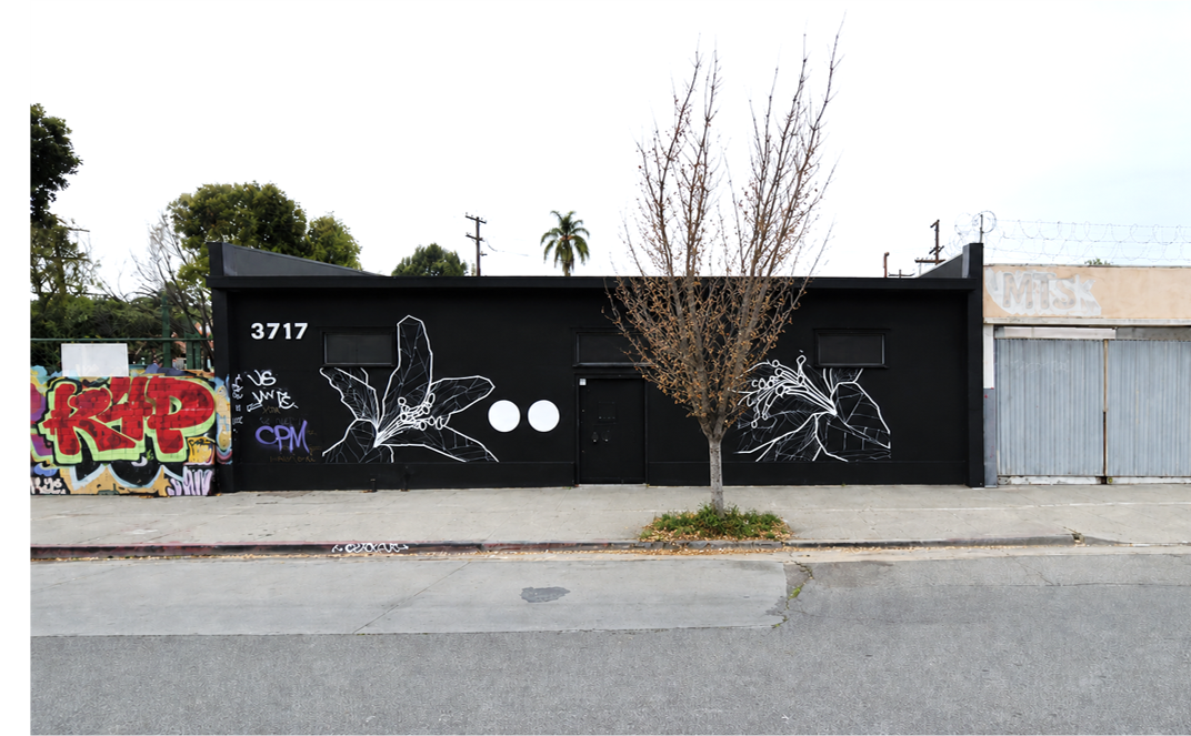 3717 W Jefferson Blvd, Los Angeles, CA for Rent