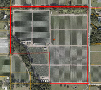 Dover, FL Industrial - 2334 McIntosh Rd
