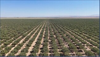 South Dos Palos, CA Agricultural Land - Camp Road @ Wild Duck Road