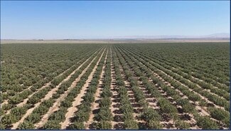 South Dos Palos, CA Agricultural - Camp Road @ Wild Duck Road