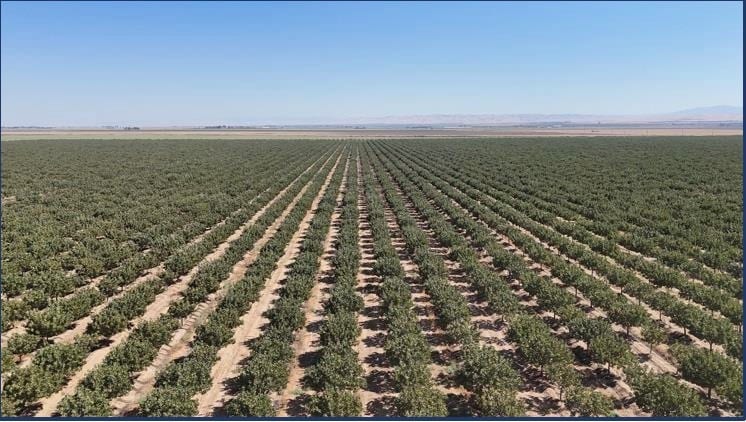 Camp Road @ Wild Duck Road, South Dos Palos, CA for Sale