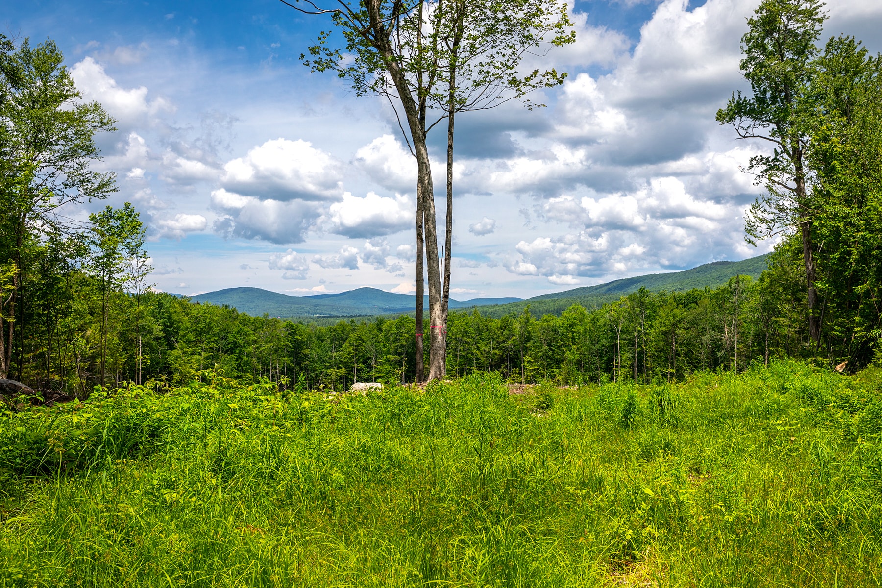 0 Little Pond Road, Andover, VT for Sale