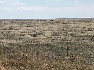 Briggsdale, CO Commercial Land - 0 WCR 85 Rd