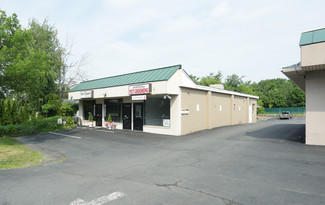 Albany, NY Retail - 98 Everett Rd