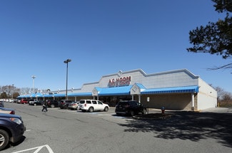 Dover, DE Office, Retail - 263-299 N Dupont Hwy