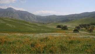 Caliente, CA Residential Land - 5570 Caliente Bodfish Rd Caliente, CA Residential Land - 5570 Caliente Bodfish Rd