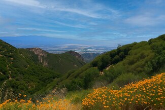 Stevenson Ranch, CA undefined