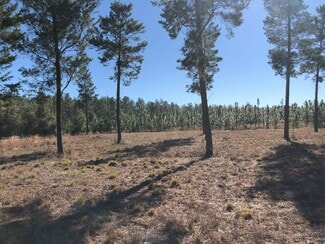 Lee, FL Agricultural - 441 NE Mango ave