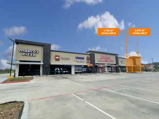 Humble, TX Retail - FM 1960 & Lee Rd