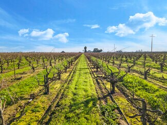 Acampo, CA Agricultural Land - 14248 Peltier rd Acampo, CA Agricultural Land - 14248 Peltier rd