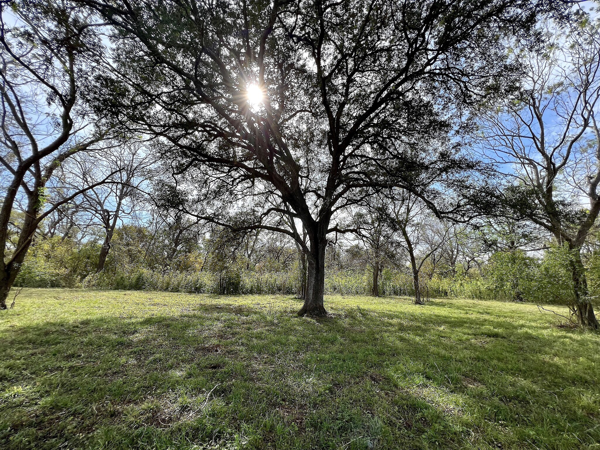 0 Hwy 35, Van Vleck, TX for Sale