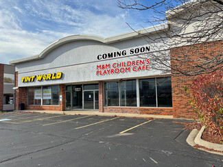 Schaumburg, IL Freestanding - 1228 N Roselle Rd