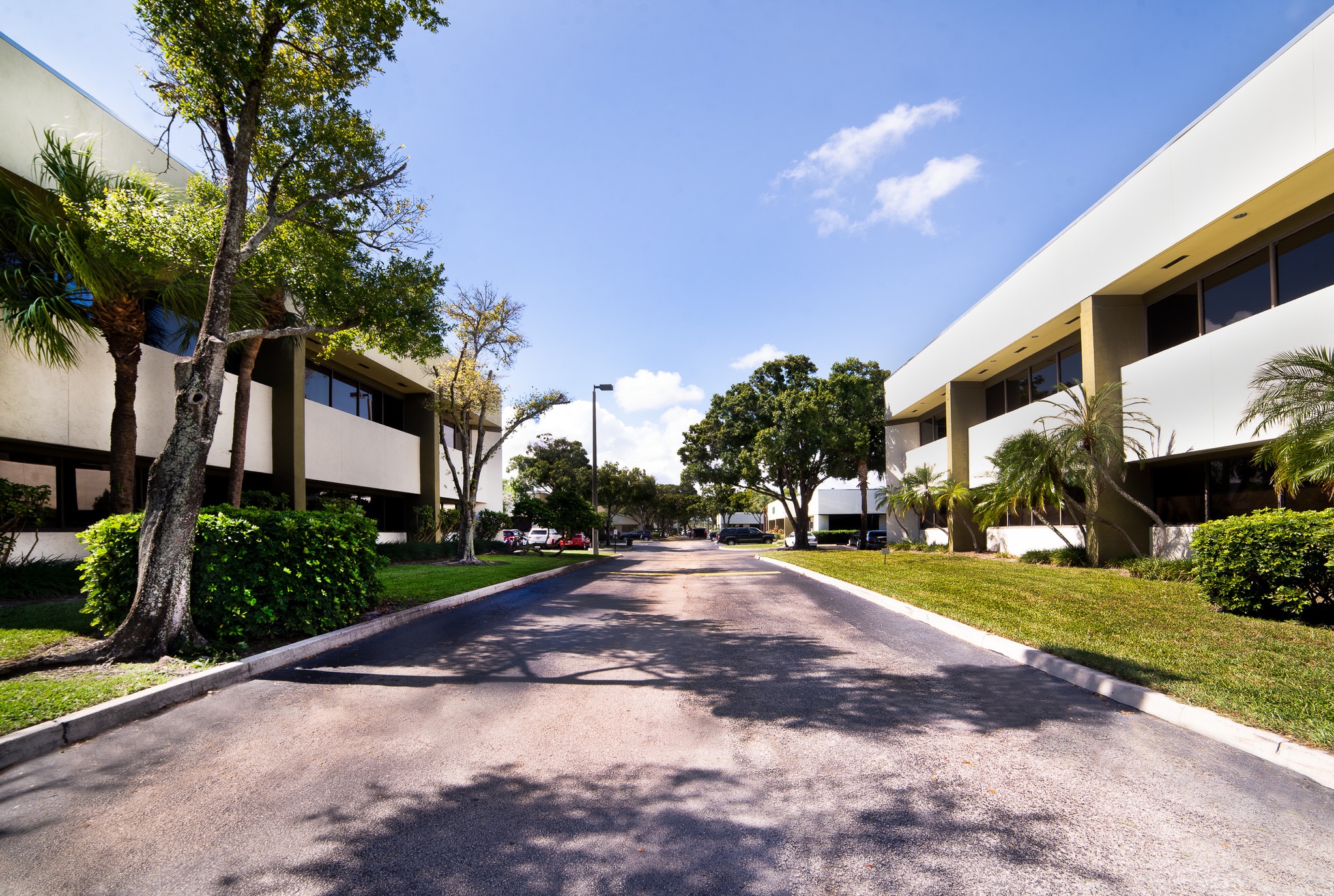 3115 NW 10th Ter, Oakland Park, FL for Rent