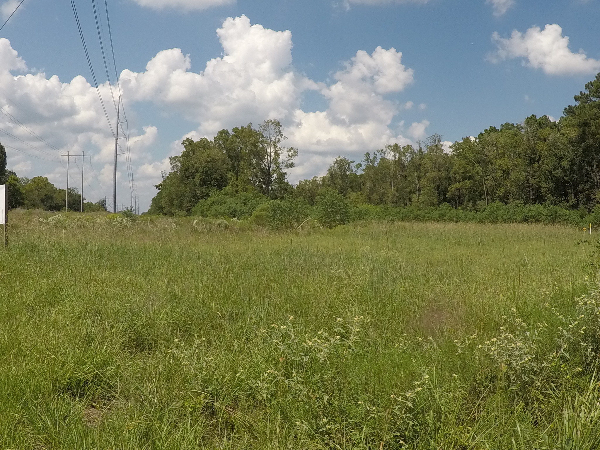 7886 Fm 1960 Rd, Dayton, TX for Sale
