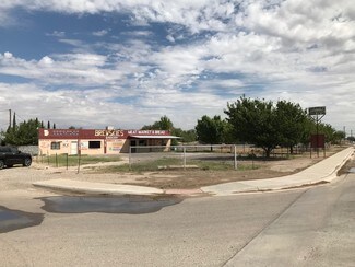 San Elizario, TX undefined - 12690 Pensamiento