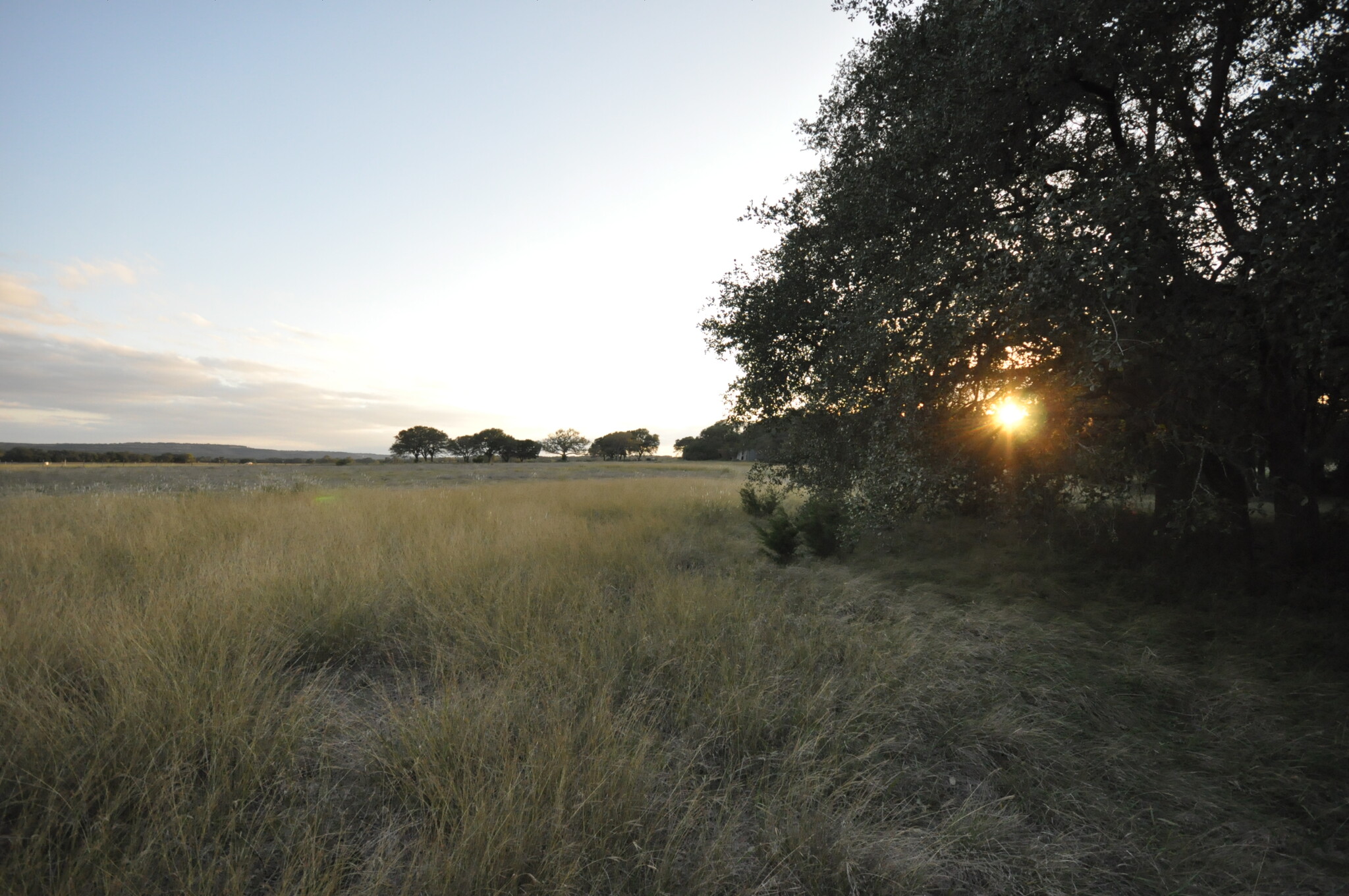 100 Farm To Market 165, Dripping Springs, TX for Sale