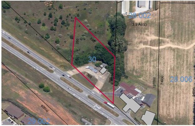 S Highway 231 & Mance Newton Rd, Midland City, AL for Sale