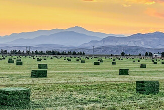 Tularosa, NM Agricultural - 8196 US-54