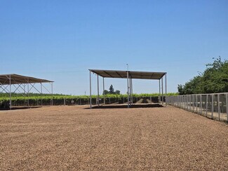 Wasco, CA Agricultural - 28548 Woollomes Rd