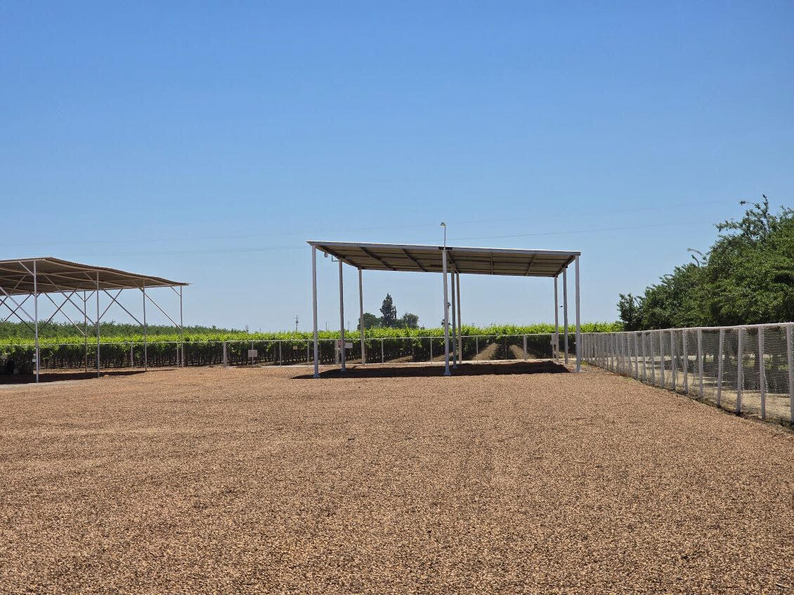28548 Woollomes Rd, Wasco, CA for Sale