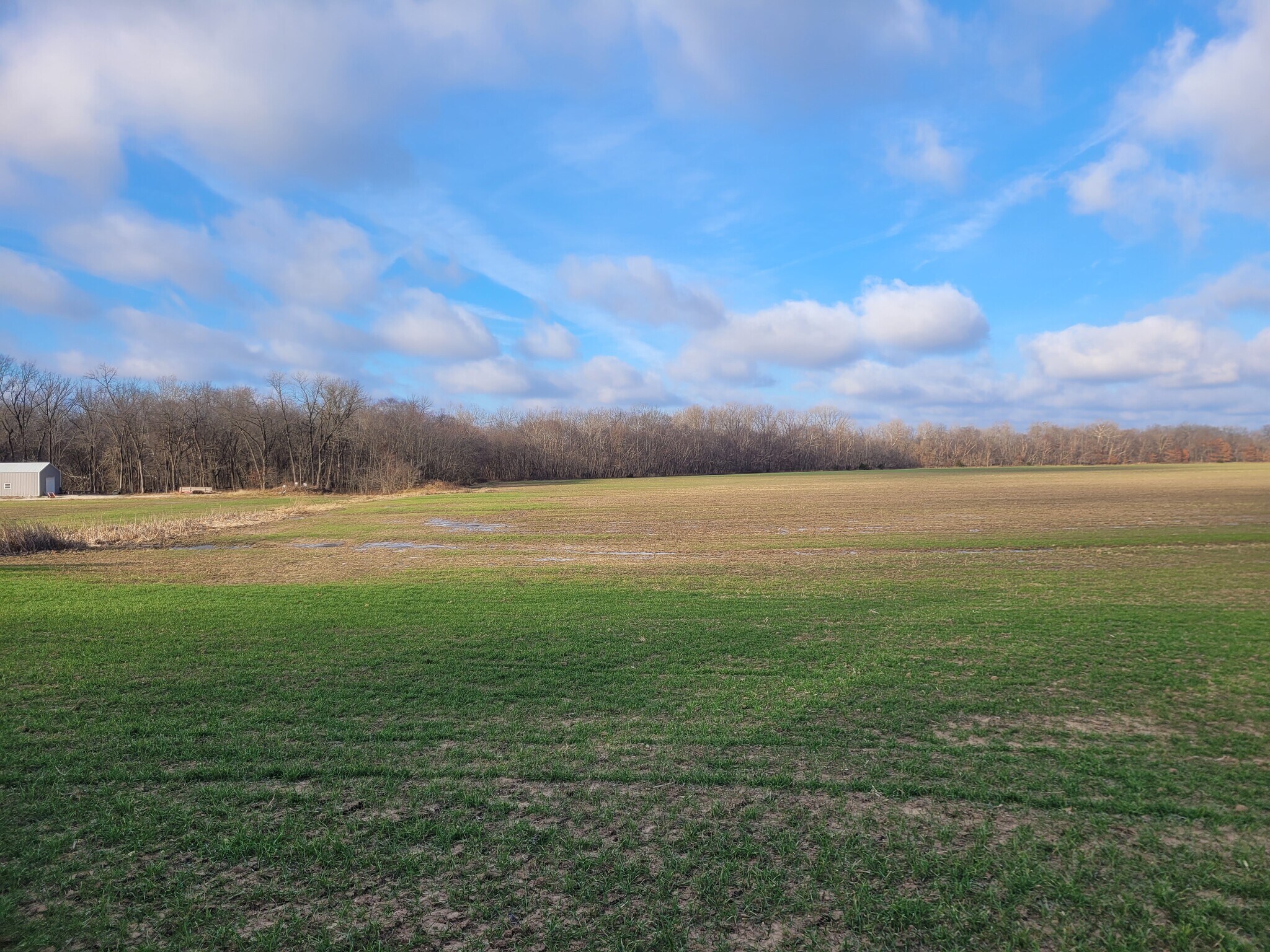Bales Rd. (55.3+/- Acres), Middletown, MO for Sale