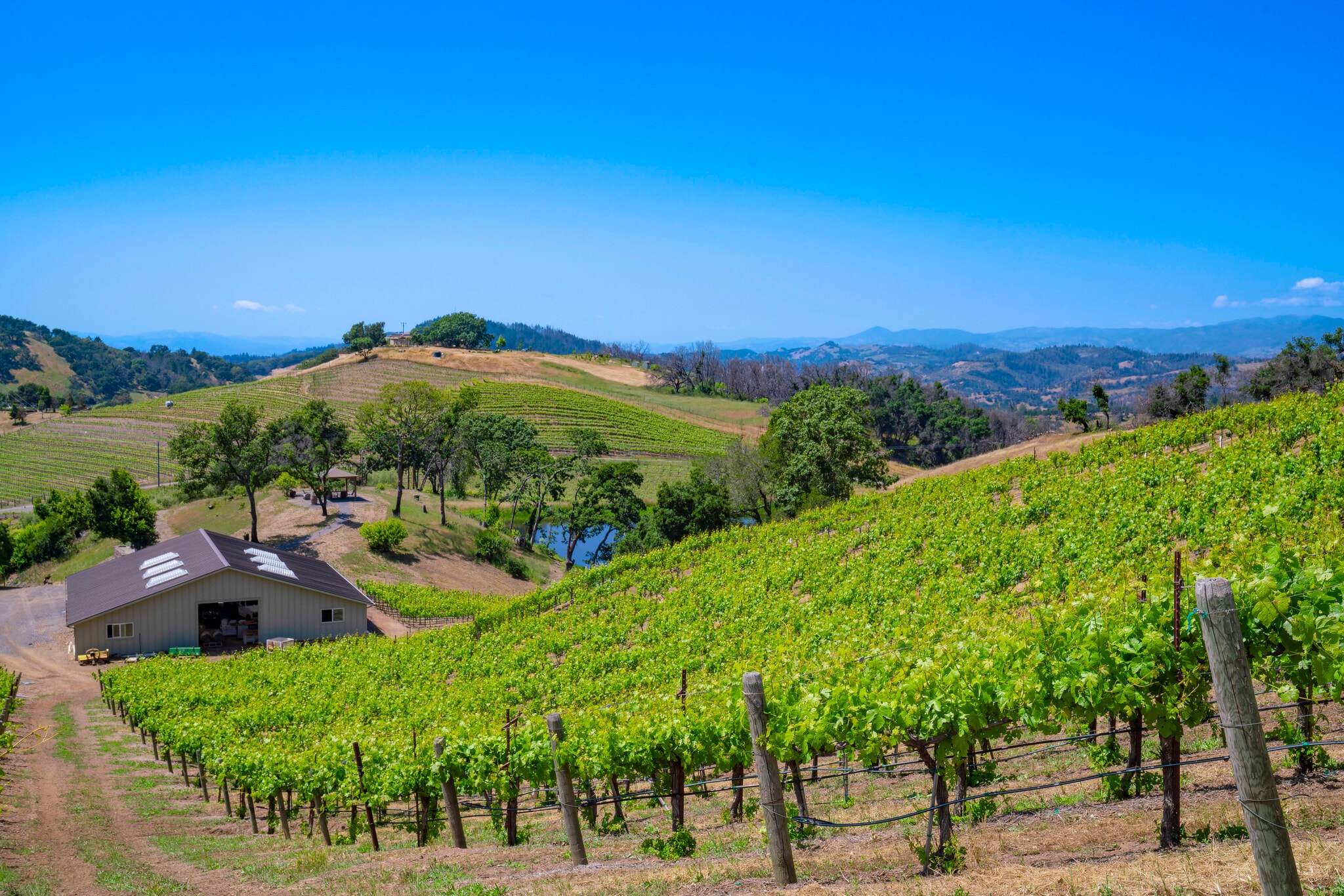 6923 Plum Ranch Rd, Santa Rosa, CA for Sale