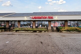 Lincoln Park, MI Retail - 1071-1119 Fort St