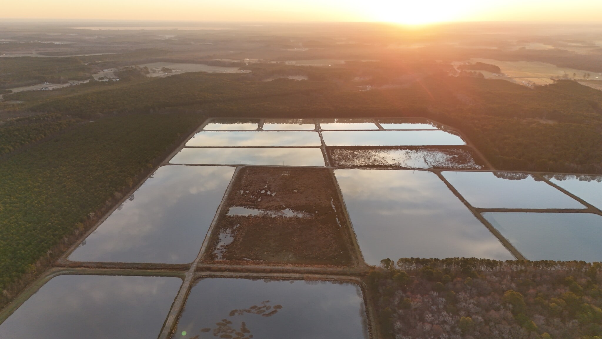 5619 Emma Cannon Rd, Ayden, NC for Sale