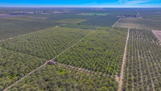 Manteca, CA Agricultural - 12000 Louise ave