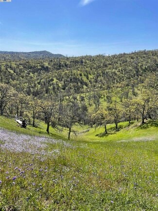 Arbuckle, CA Agricultural - 0 Sand Creek Rd