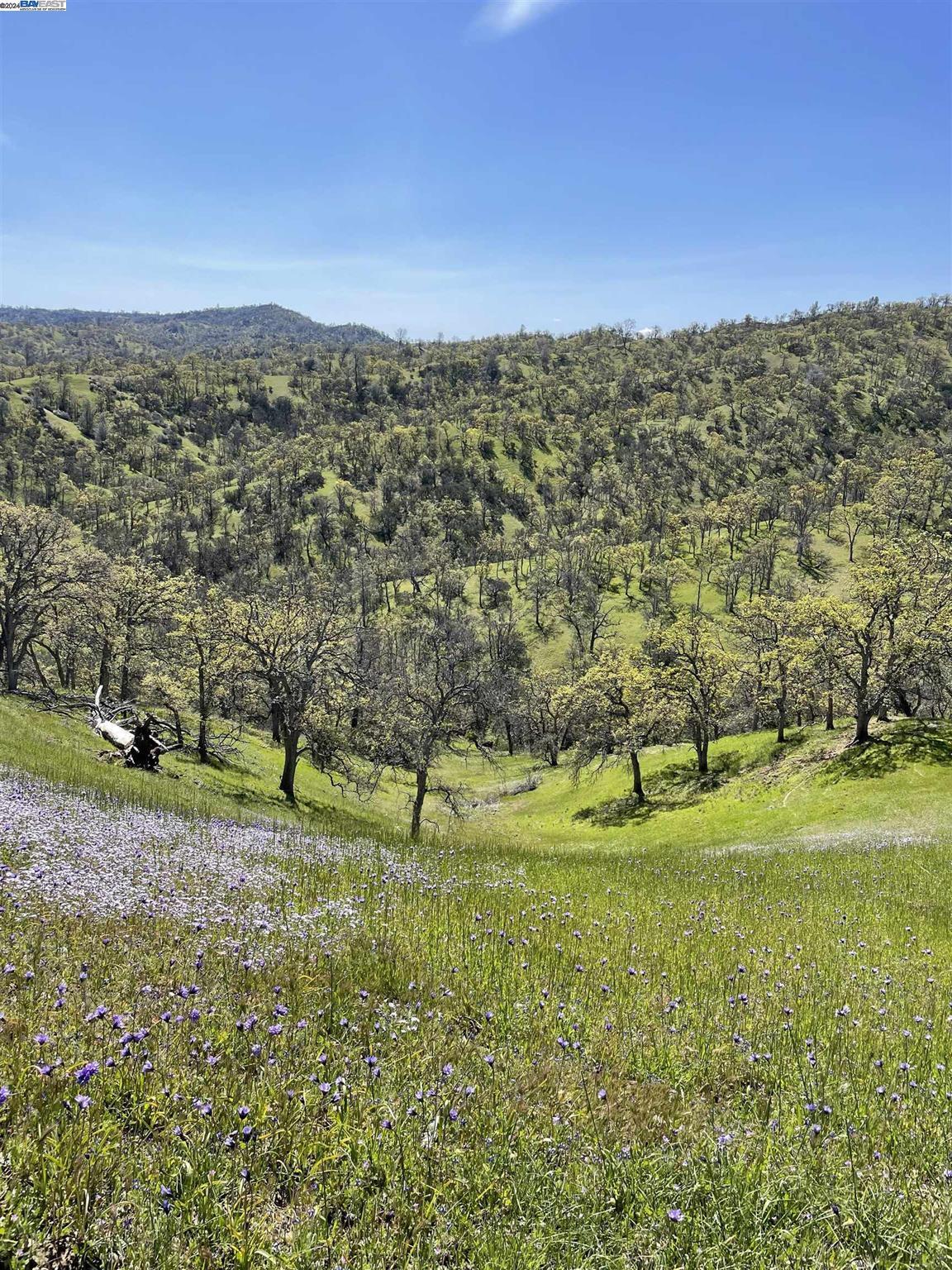 0 Sand Creek Rd, Arbuckle, CA for Sale