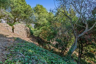 614 Cragmont Ave, Berkeley, CA for Sale