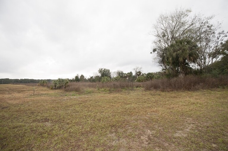 13101 Rachael Blvd, Alachua, FL for Rent
