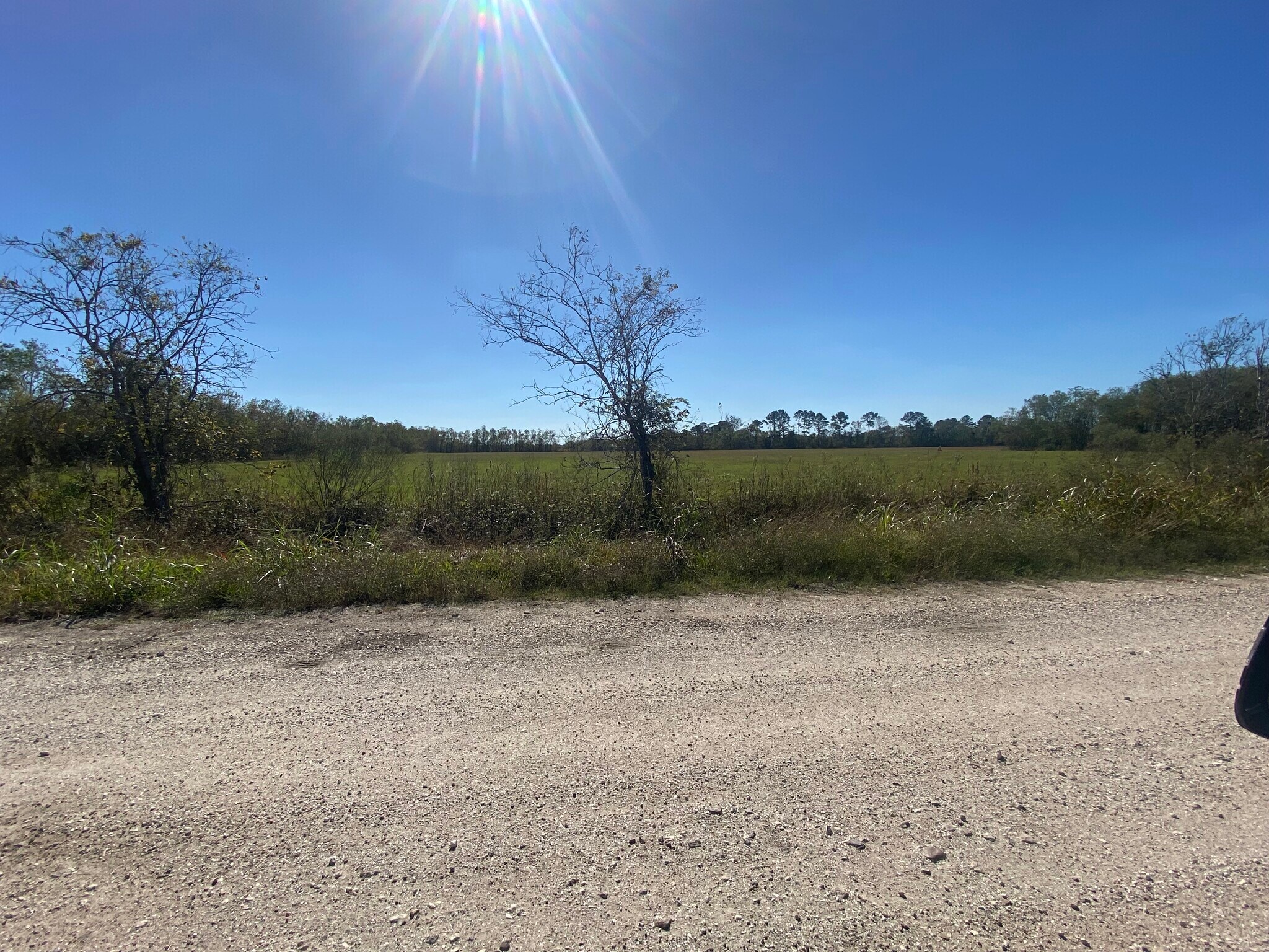 CR 62 @ East of Hwy 288, Iowa Colony, TX for Sale