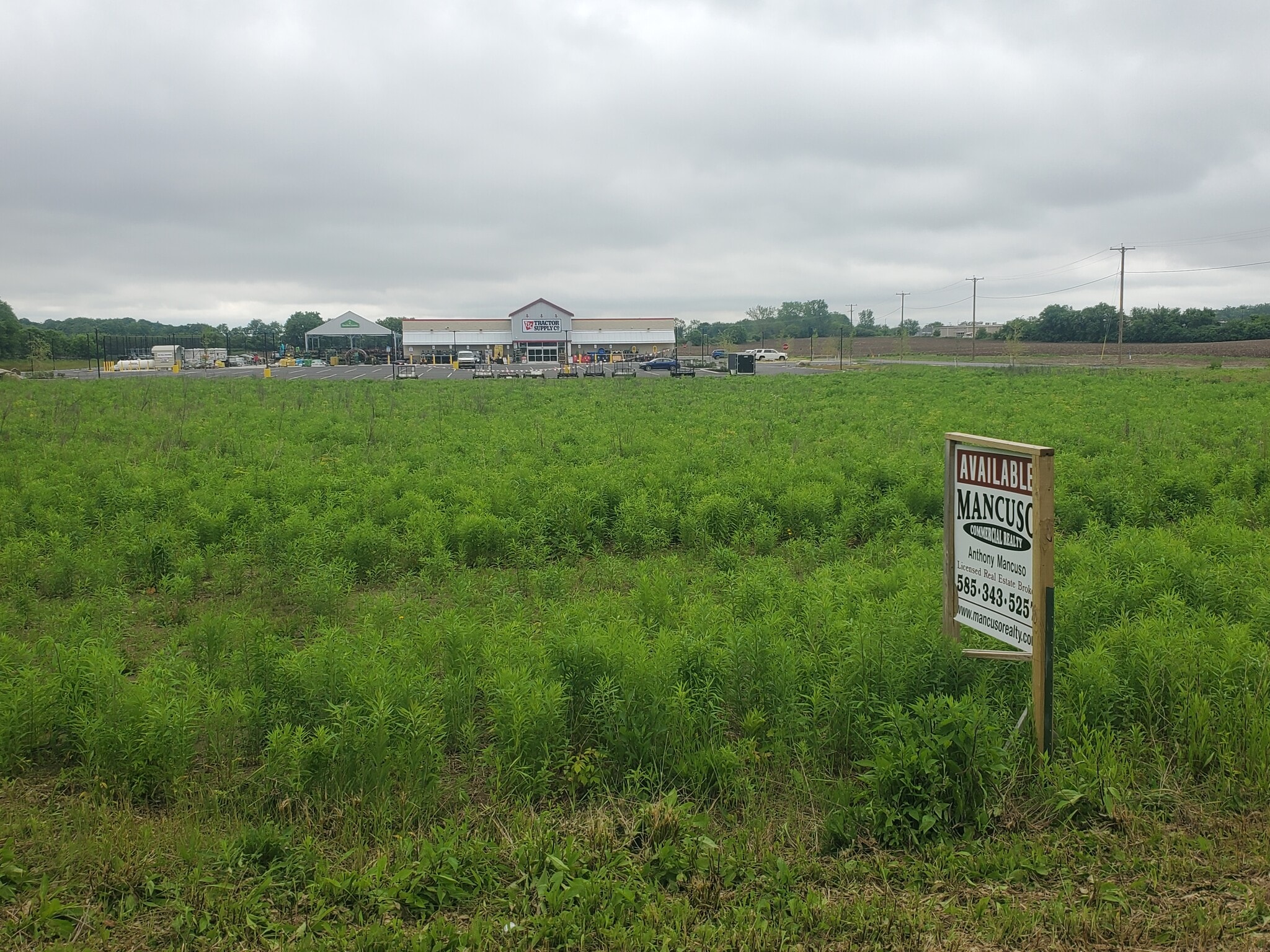 8287 Lewiston rd, Batavia, NY for Sale