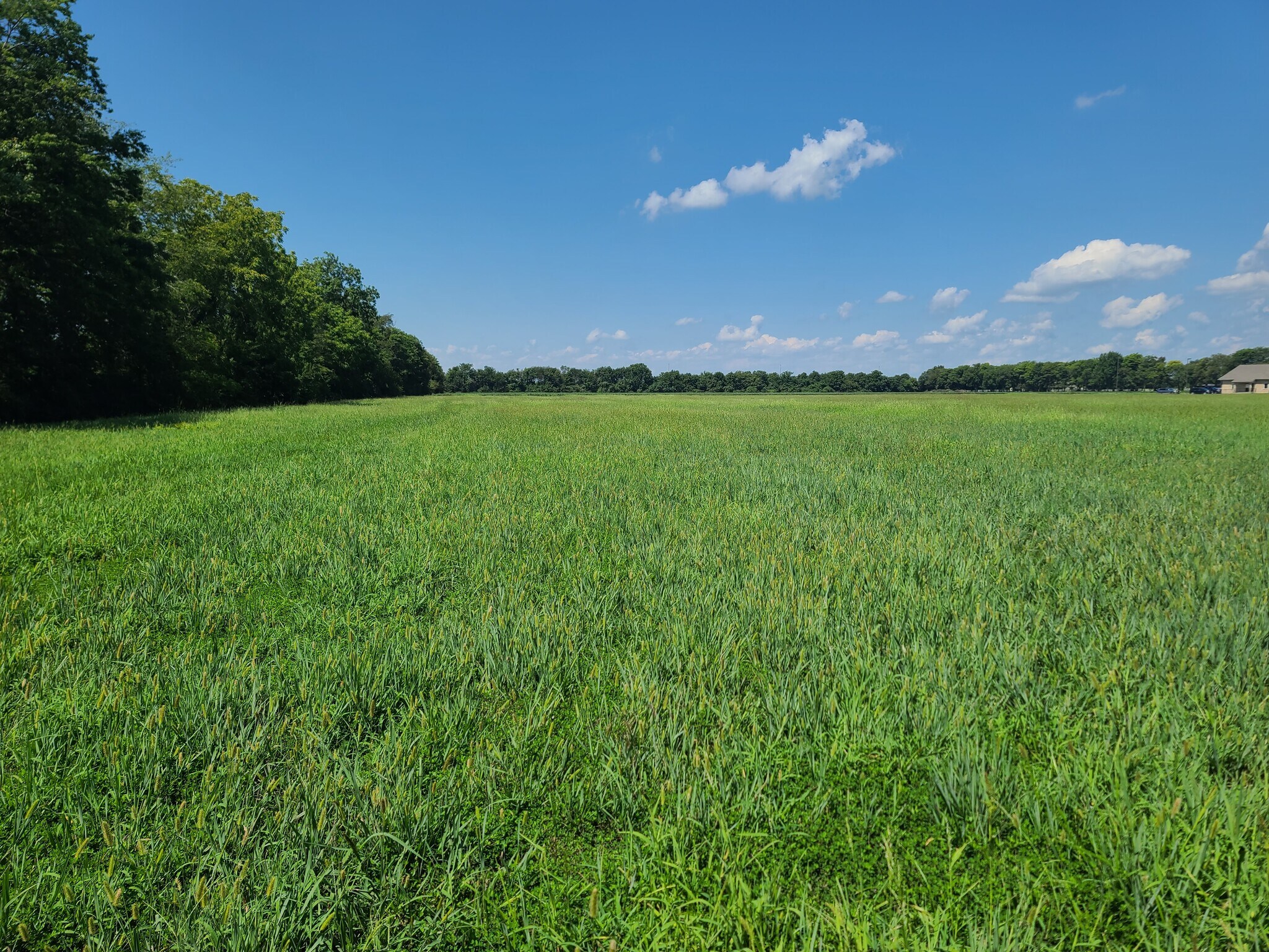 103 Grove Estates Ct, Sikeston, MO for Sale