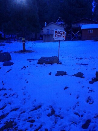 Wrightwood, CA Residential - 0 Buckthorn