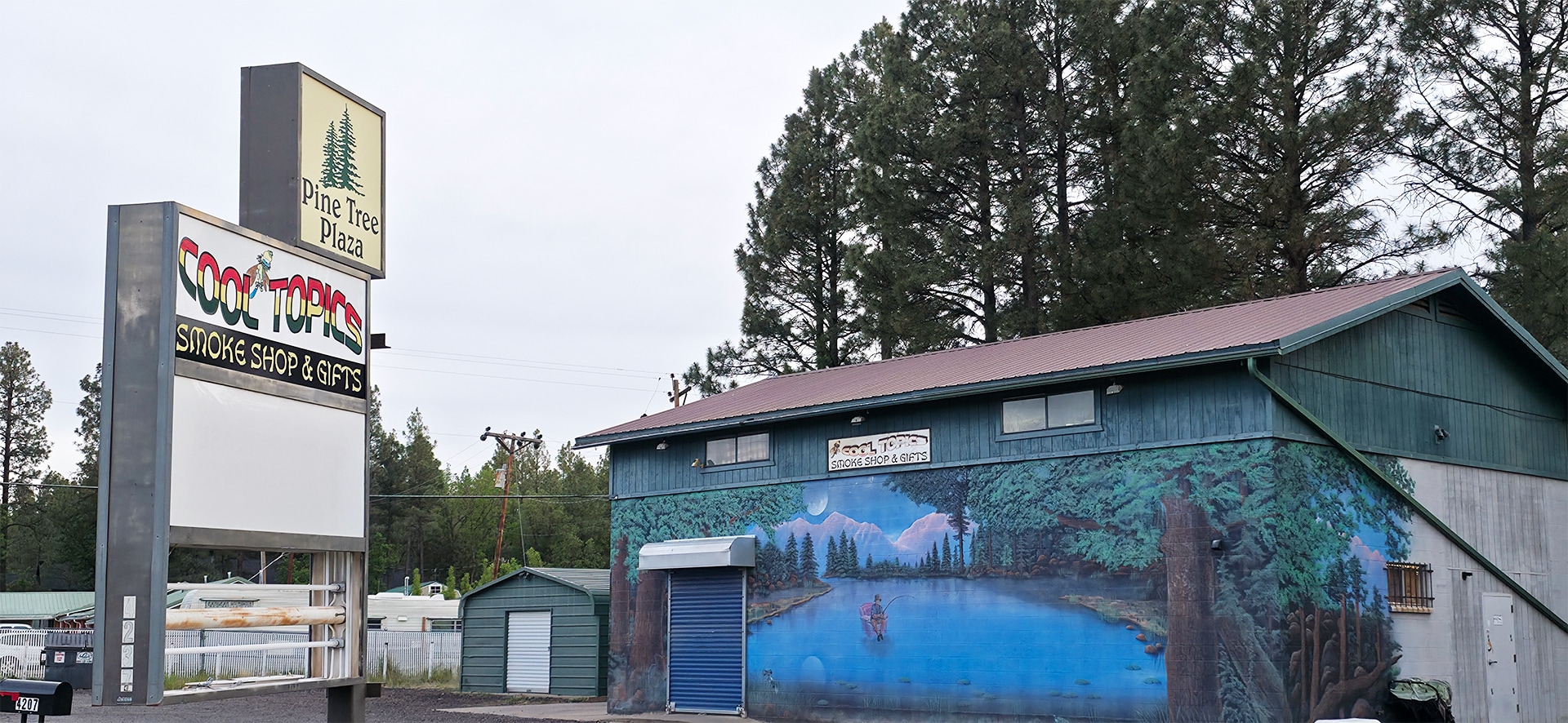 4237 W White Mountain Blvd, Lakeside, AZ for Rent