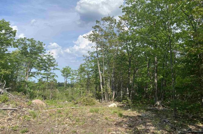 W of 327 US 41 E hwy, Negaunee, MI for Sale