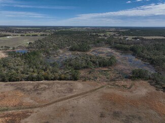 Bronson, FL Agricultural - 9570 NE 35th st