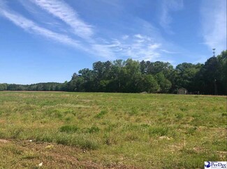Hartsville, SC Commercial - 0 W Bobo Newsom hwy