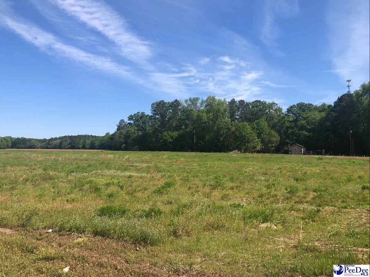 0 W Bobo Newsom hwy, Hartsville, SC for Sale