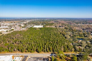 New Port Richey, FL Commercial - 8224 Little Rd
