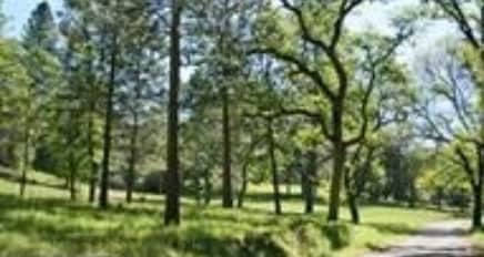 Clinton Rd, Groveland, CA for Sale
